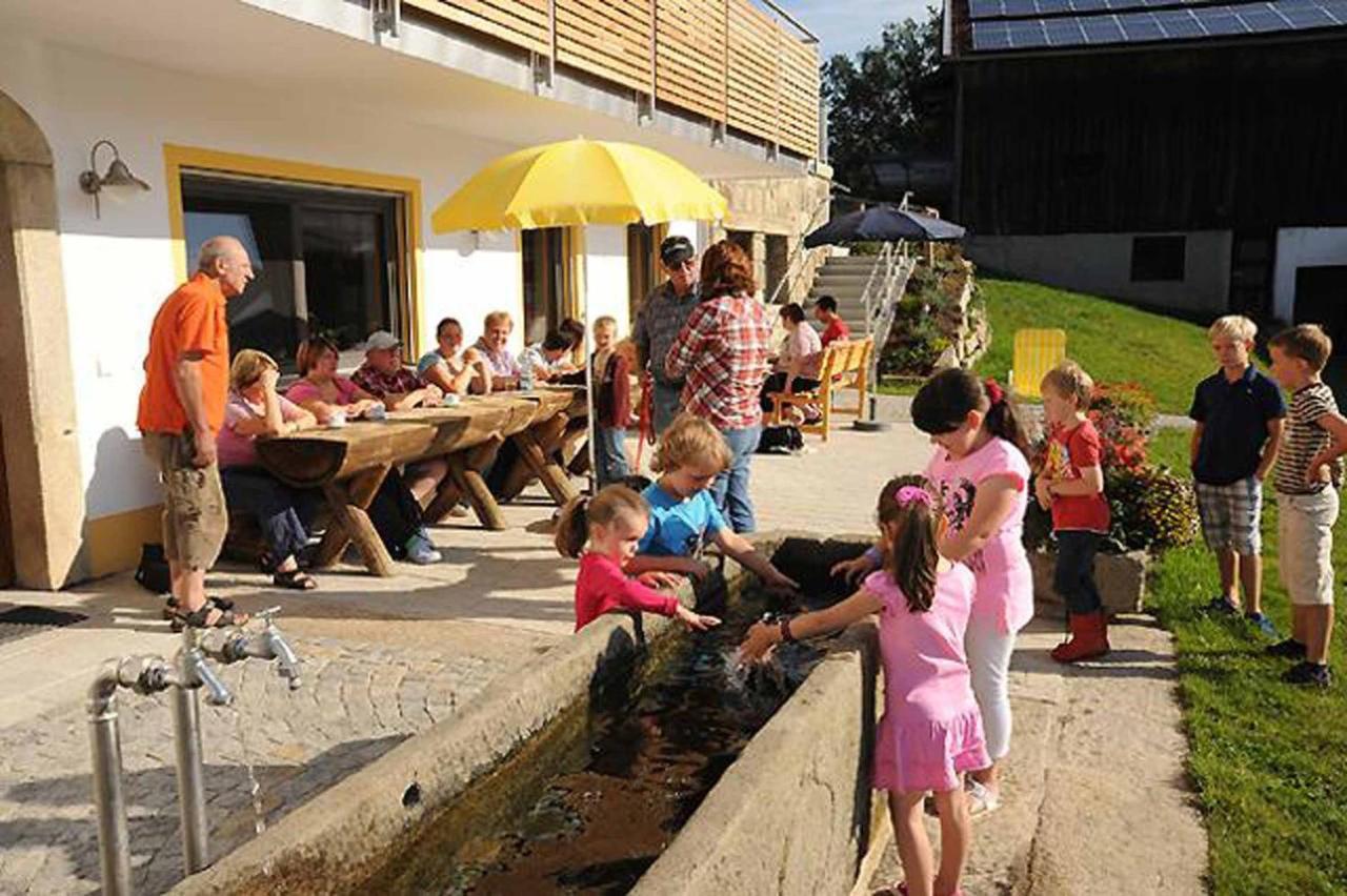 Exenbacher Hof Traumbauernhaus S'Haisl Arnbruck Exterior photo