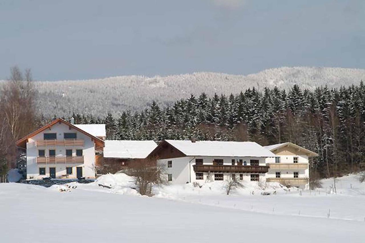 Exenbacher Hof Traumbauernhaus S'Haisl Arnbruck Exterior photo